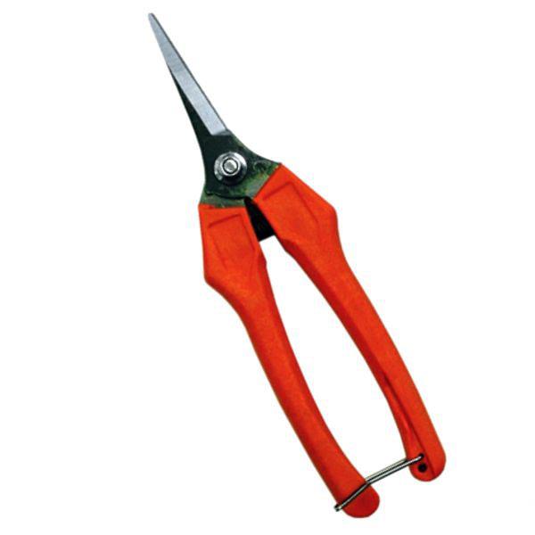 product-thumb-nail img-fluid