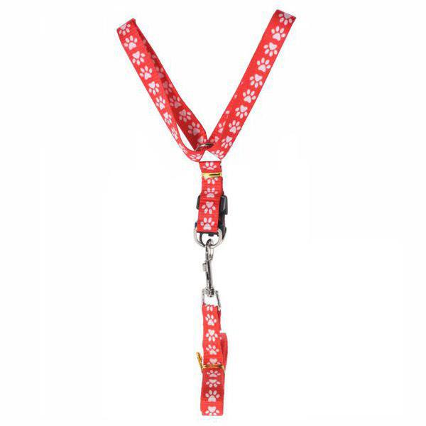 product-thumb-nail img-fluid