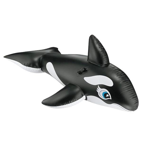 product-thumb-nail img-fluid